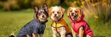 Golden Touch Product 5